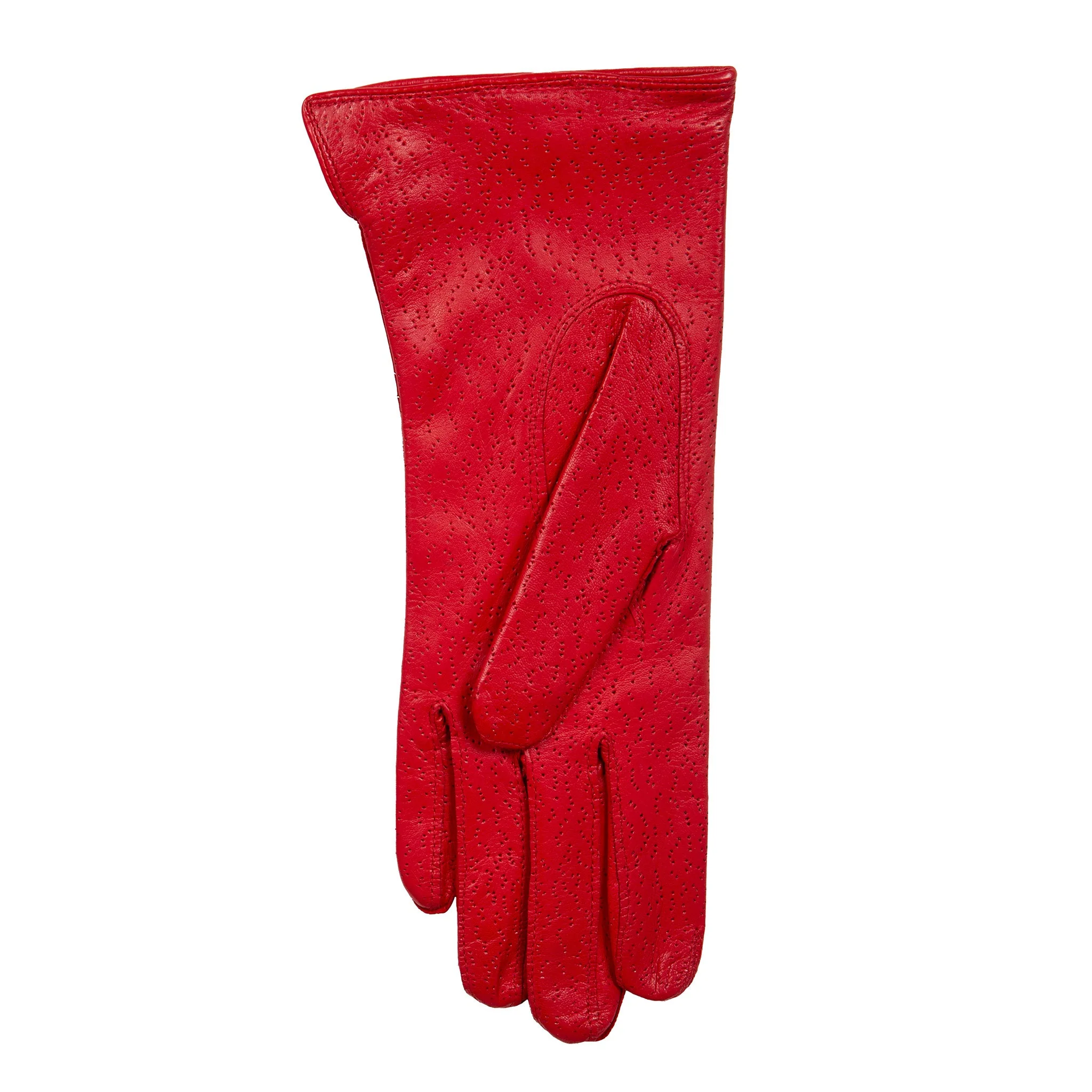 Women's Three-Point Lined Imitation Peccary Leather Gloves - Image 18
